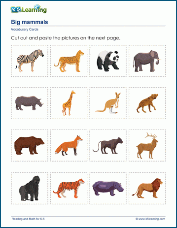 Animal words & vocabulary cards worksheet